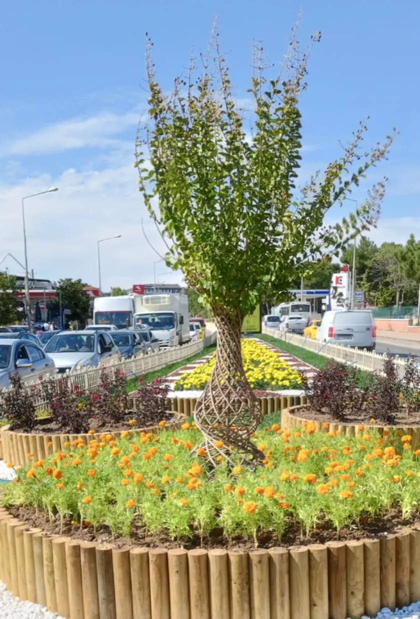 YEŞİL EDİRNE: 26 NOKTADA 5 BİN 75 YENİ DİKİM galeri görseli